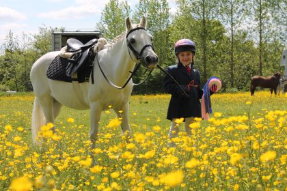 Website for Lingfield equestrian courses
