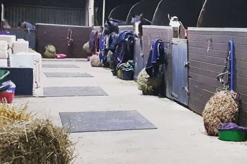 Equine Training Apprenticeships & courses.