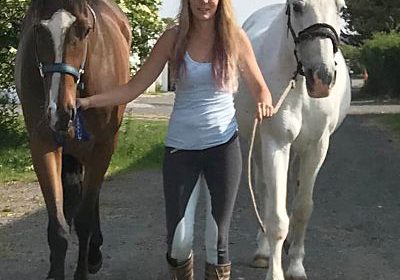 Would you want to run a livery yard?