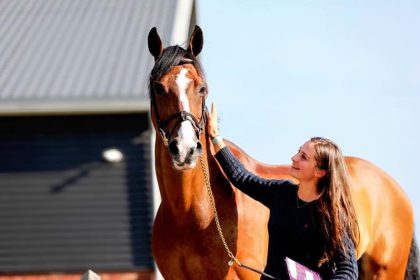ULCERS & Equine Nutritionists