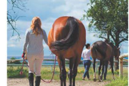 Latest Equestrians Covid advice