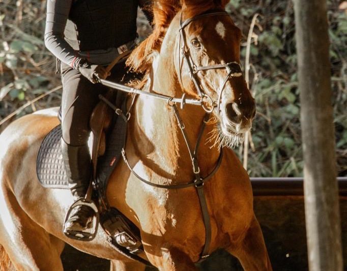 Ride With Your Mind