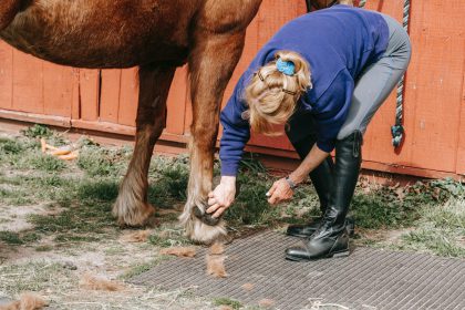 Groom – a career choice or a lifestyle?