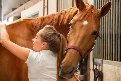 How To Get Qualified in the Horse World