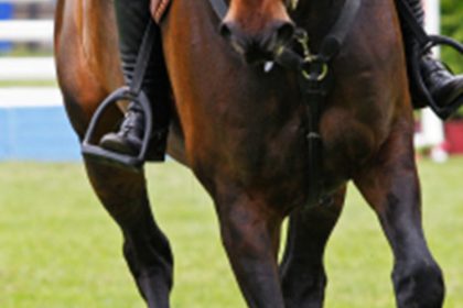 March 2022 – Find training in the equine world